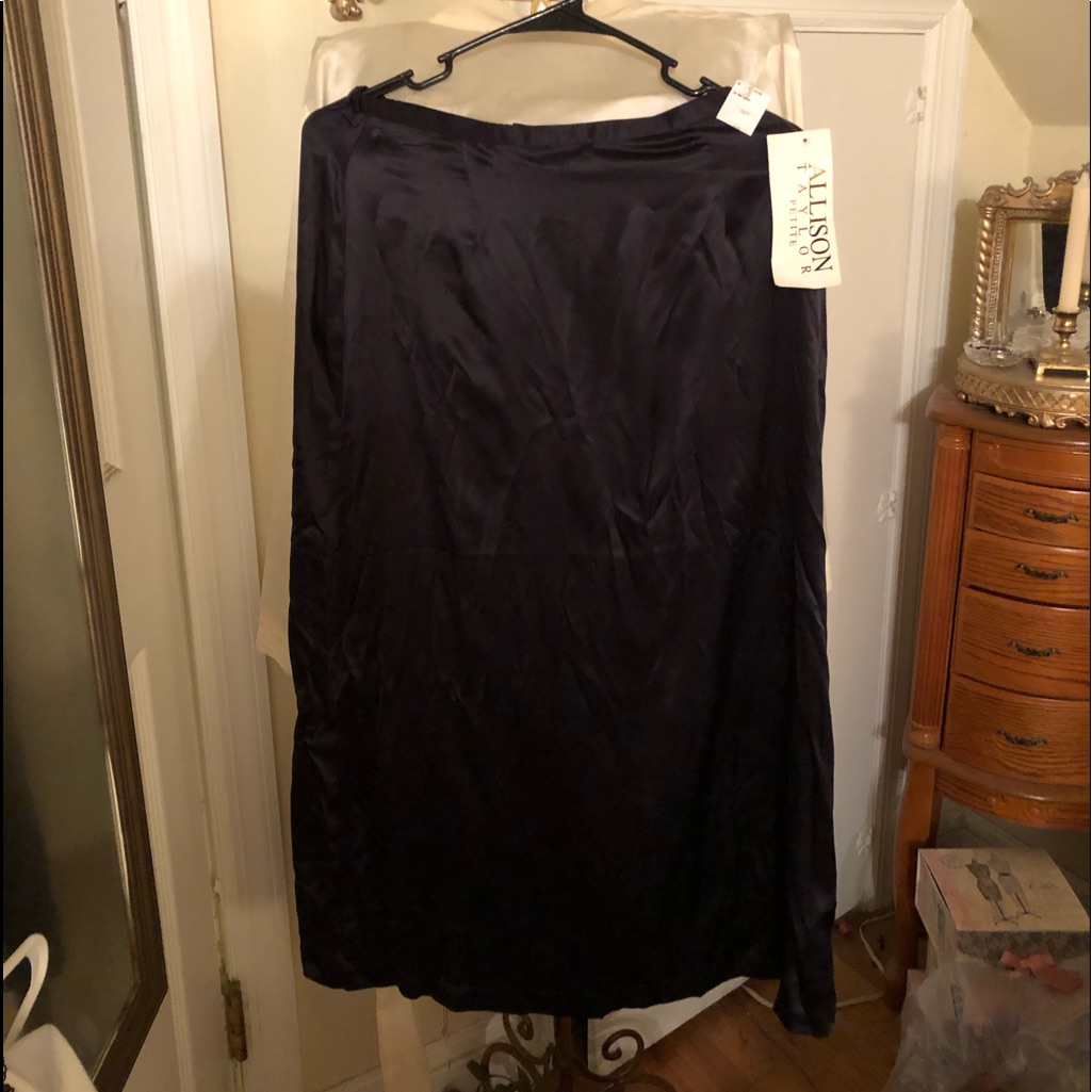 Allison Taylor Petite 100% Silk Skirt